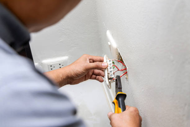 Best Local Electrician Companies  in Lake Monticello, VA